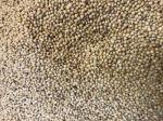 WHITE MILLET 50#