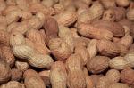 RAW IN SHELL PEANUTS PER POUND