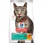 SCIENCE DIET CAT MAINTANANCE ORIGINAL 4#