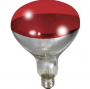 HEAT BULB RED 250 WATT