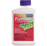 BONIDE PYRETHRIN CONCENTRATE PINT