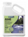 POND2O ALGAE GALLON