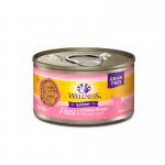 WELLNESS KITTEN CAN 3OZ