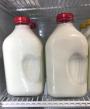 CALDER WHOLE MILK 1/2 GALLON