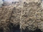 STRAW BALE