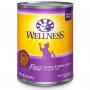 WELLNESS CAT TURKEY SALMON 12 OZ