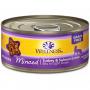 WELLNESS CAT TURKEY SALMON 5.5OZ