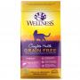 WELLNESS INDOOR HEALTH SALMON 5#