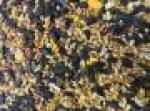 DEXTER MILL WILD BIRD SEED  5LB