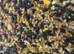 DEXTER MILL WILD BIRD SEED 10LB