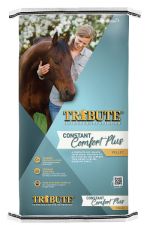 TRIBUTE CONSTANT COMFORT 40# BAG