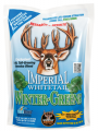 WHITETAIL WINTER GREEN SEED